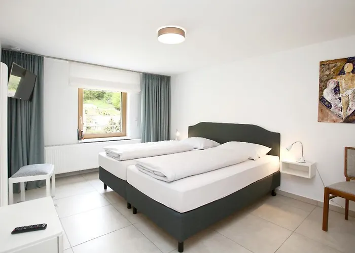 Muenzberg 펜션 안에일러 앰 트리펠스